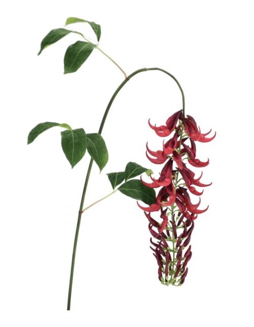 BIZZOTTO MACUNA KAYLIN ROSSO H142CM