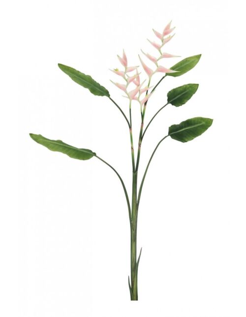 BIZZOTTO ELICONIA JESSYE X3F+5FOGLIE ROSA H172