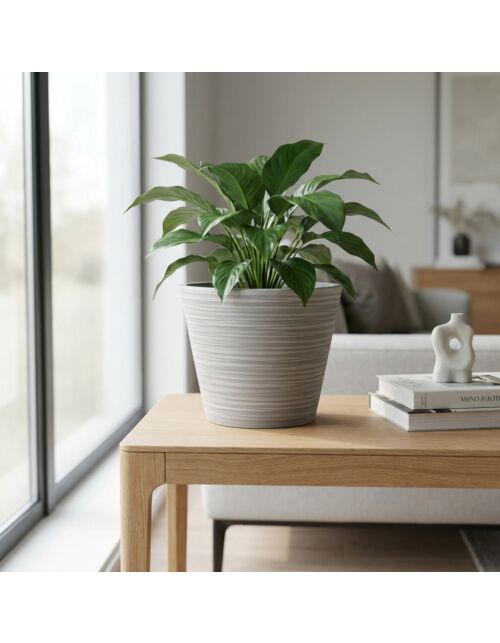 VASO MEDIO CAMELIA