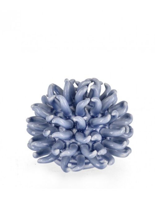 BIZZOTTO DECORAZIONE RICCIO DI MARE DEEP AZZU H13